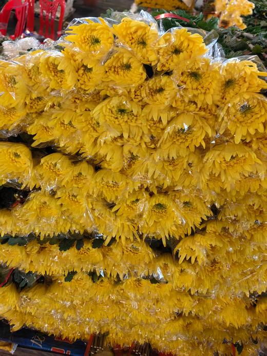 广州黄白菊花批发50扎起发货运费到付（批发） 商品图7