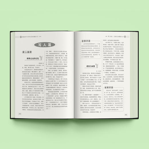 “最新初中生作文精选大全”系列（共3册）：《最新初中生优秀作文精选大全》《最新初中生分类作文精选大全》《最新初中生好词好句好段好素材精选大全》 商品图2