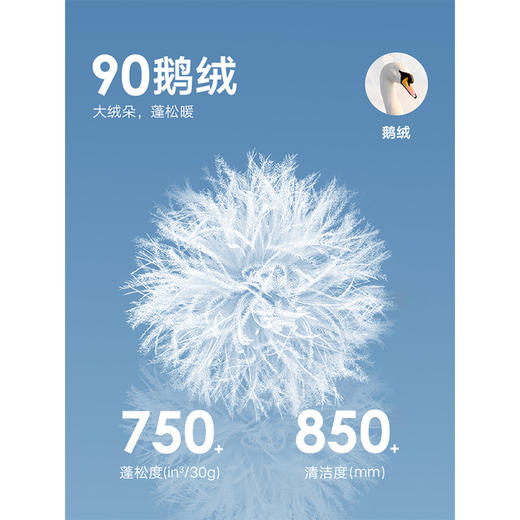 GXG男装 蓝色简约通勤立领羽绒服男 24冬热卖G24XY24004 商品图4