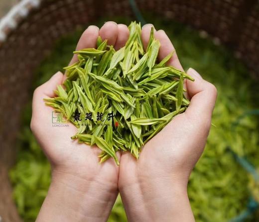 中茶龙冠龙井|2025龙冠龙井，龙井之冠，龙（隆）重上市啦~ 这个春天从一杯龙冠龙井开始 ~ 商品图4