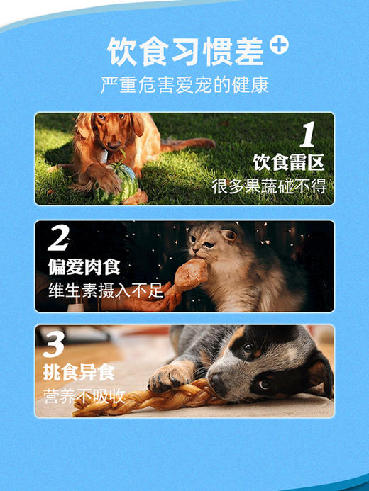 合宠(维生素B族片) 商品图5