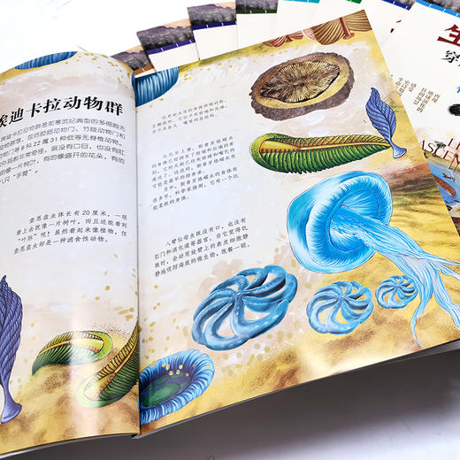 生命简史：穿越地球46亿年（全12册） 商品图4