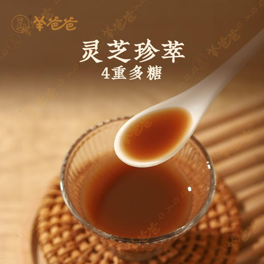 6.19日9点限时限量返场 【参芪灵芝发酵饮 3盒】| 内养外御护正气，提升防护强体魄 此批次效期至2026年8月 商品图3