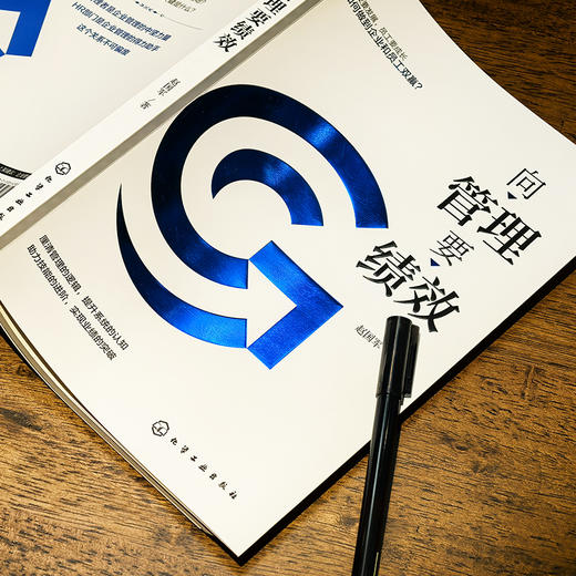 向管理要绩效 商品图3