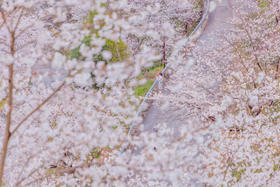 2025氧气旅行团——“春游余姚 花‘漾’宠你”四明山之旅