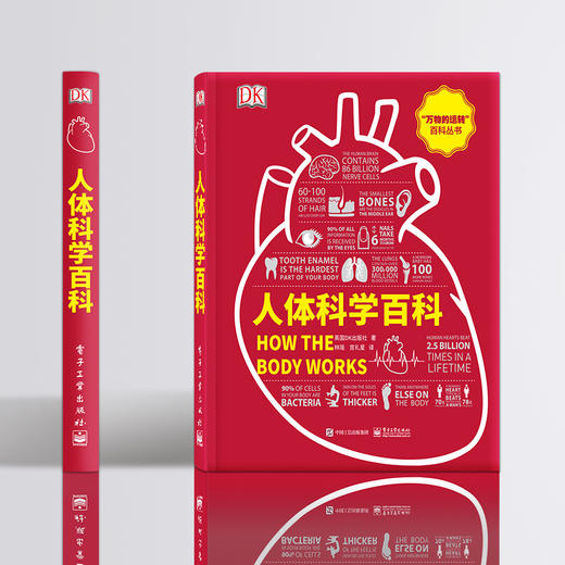 人体科学百科（全彩） 对生在人体内的、通常人们并不会意识到的奇怪又奇妙的过程进行极富吸引力的探索 1册 商品图4