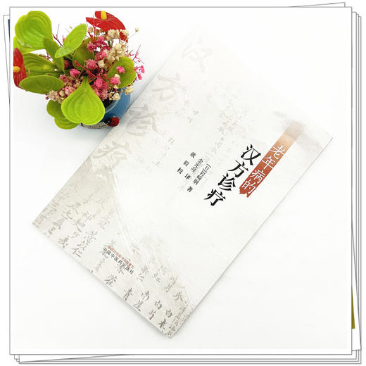 老年病的汉方诊疗 (日)岩崎钢 著 金光亮 译 中国中医药出版社 临床经验 书籍 商品图1