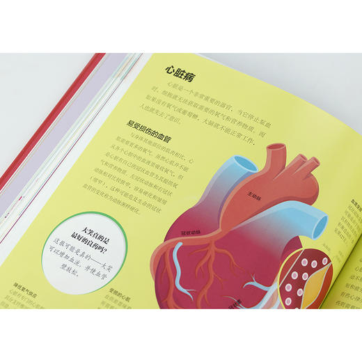人体科学百科（全彩） 对生在人体内的、通常人们并不会意识到的奇怪又奇妙的过程进行极富吸引力的探索 1册 商品图2