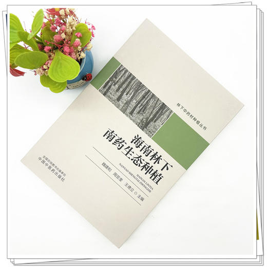 海南林下南药生态种植 魏建和 周亚奎 王德立 主编 中国中医药出版社 商品图1