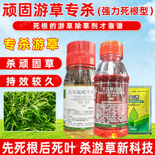 抗性顽固游草油草专杀套餐稻李氏禾专杀除草剂死根灭草剂正品农用 商品图4