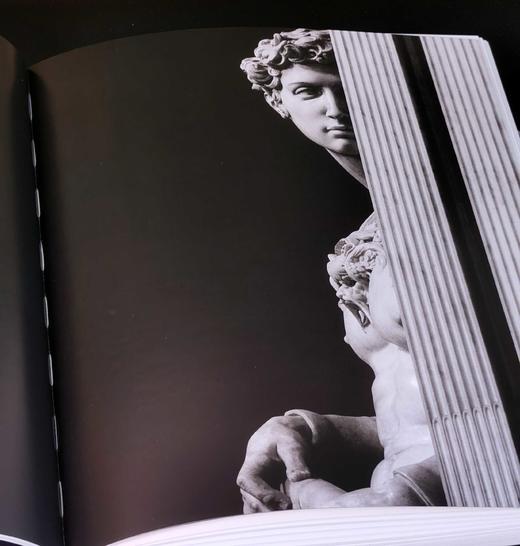 文艺复兴时期绘画及雕塑大师：《达.芬奇》+《米开朗基罗》，8开，平装，海平+方重著，河北美术出版社2008年一版一印，245+247页，单册定价160，售价60元，品相9-95成。 商品图10