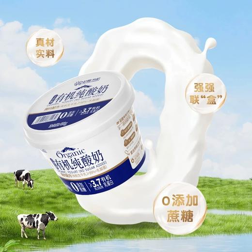 初酪有机纯酸奶 商品图0