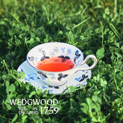 WEDGWOOD威基伍德野草莓墨蓝花茶杯碟组英式下午茶杯碟威基伍德野草莓墨蓝骨瓷花茶杯碟组 商品图3