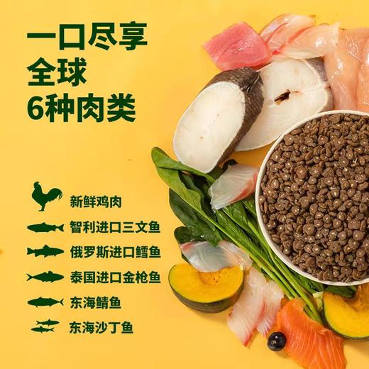 4楼Eubelle欧蓓 爪子心选 全价鲜肉无谷猫粮1.5kg藻类DHA夹心 成幼猫全阶段营养 活动价：128元 商品图1