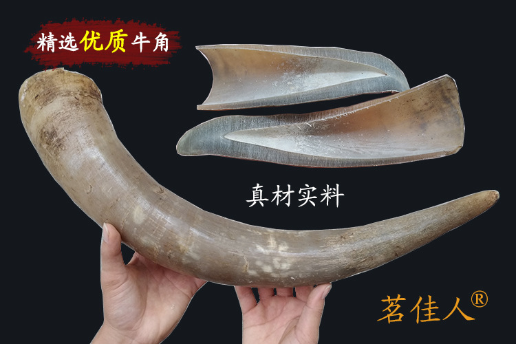 牛角.jpg