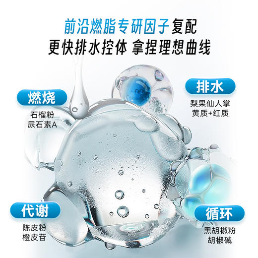 【速湿轻】健脾益气 / 行气化湿  更快排水控体  拿捏理想曲线~ 商品图6