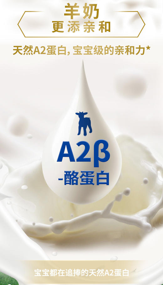 6盒42条 卓牧有机纯羊奶粉175G*6   A-4116 商品图9
