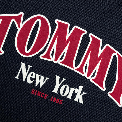 TOMMY 春 大童小童 儿童童装卫衣 THN-PO-AC47 商品图3