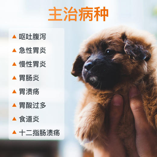 合宠西咪替丁猫狗吐黄水白沫止吐药肠胃炎呕吐拉稀干呕胃溃疡吐血 商品图1