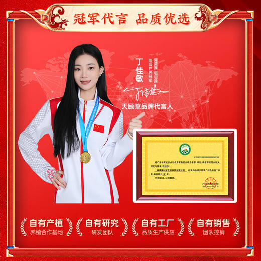 【精品礼盒装】金线莲整株原茶 福建漳州林下高品质金线莲 15项专业机构检测认证 0农残更安心 商品图5