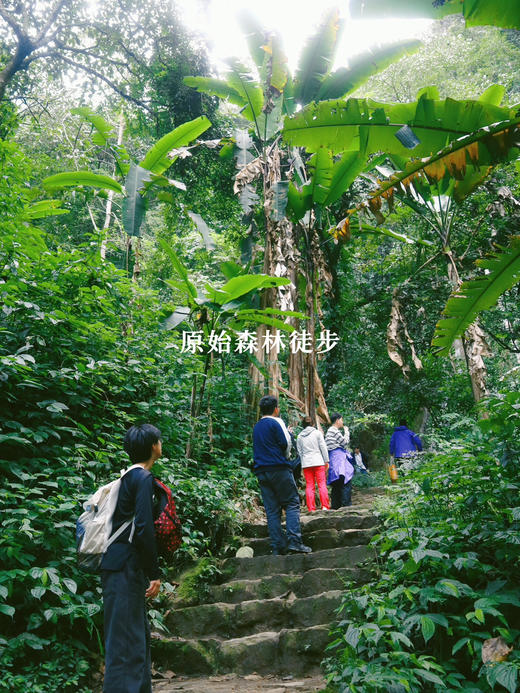 云南｜3.21-3.22怒江漂流徒步2天1晚，冬季碧蓝怒江/高黎贡山百花岭徒步/瀑布飞流季雨林/天然森林野温泉/双虹桥/潞江坝，趣野星球摄影师带队小团！ 商品图8