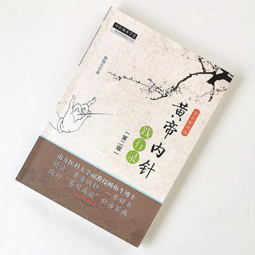 正版 现货 【出版社直销】 黄帝内针践行录（第二2版） 赖梅生 著  中国中医药出版社 （全彩配图版） 中医书籍 商品图2