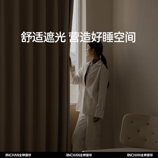 【朝花夕拾】金蝉高精密轻奢暗纹提花窗帘 商品图2