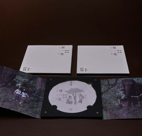 盛班号CD手撕薄饼普洱茶·生茶100g/饼