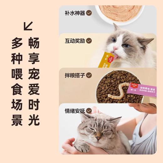顽皮猫咪零食猫条成幼猫湿粮欧一吸100支整箱营养补水鲜包猫罐头 商品图3
