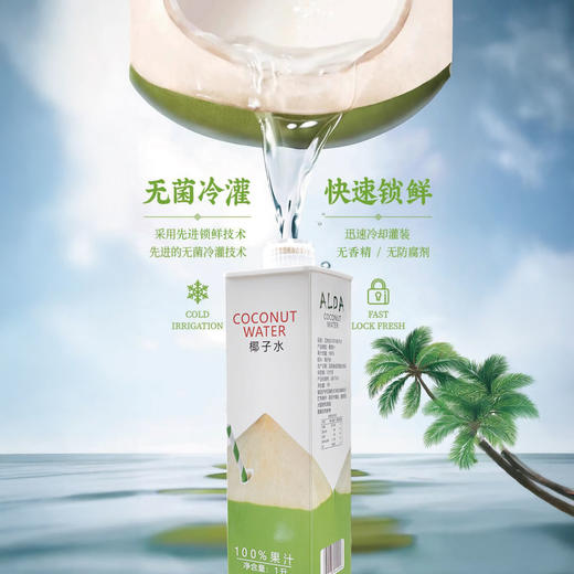 热卖！解暑神器！【大容量1L*6瓶装】 艾琳达椰子水 天然电解质 运动饮料 可DIY饮品 1瓶不到10元钱！ 商品图1