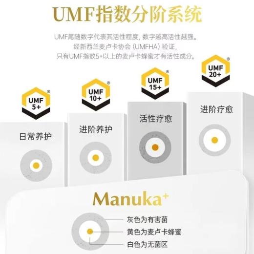 BEE+麦卢卡蜂蜜UMF15+ 250克罐（新包装） 商品图6