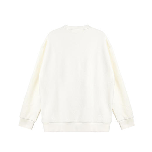 【断码清仓】HX 冬季圆领卫衣S106440104101/02 商品图3