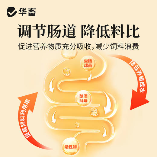 华畜全能促长王催肥宝促生长开胃促食早出栏猪牛羊催肥增重长肉 商品图3