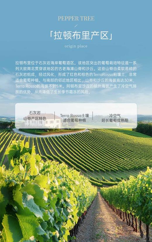 完税  澳大利亚酒  胡椒树单一园系列奥兰治维纳斯田霞多丽干白葡萄酒2022 商品图3