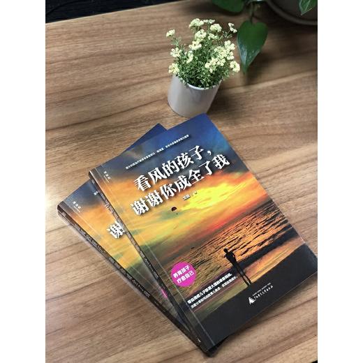 【独秀书香卡】神秘岛·看风的孩子，谢谢你成全了我 6~14岁及以上 儿童教育 商品图6