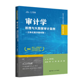 审计学：原理与大数据审计案例（立体化数字教材版）（高等学校新文科教材·大数据与财会系列）