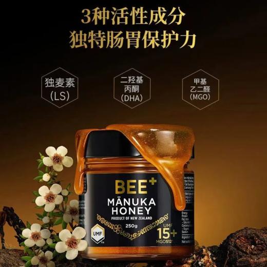 BEE+麦卢卡蜂蜜UMF15+ 250克罐（新包装） 商品图1