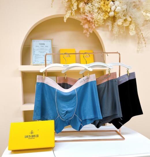 【利蜂男士奢滑莫代尔内裤3条装】采用奥地利进口兰精莫代尔面料！细腻亲肤，轻柔吸湿！无痕高弹，抑菌透气底档，穿着更放心！【利蜂-X】 商品图3