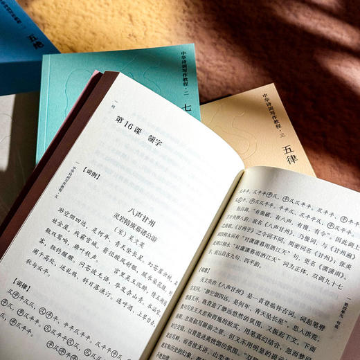 中华诗词写作教程 五绝 七绝 五律 七律 词 5册 中华诗词研究院 商品图13