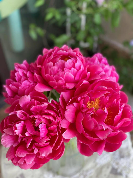 【预售！4.20起陆续发出】树莓冰沙 【人间四月天，芍药铺庭前】简小姐精选稀有渐变梅子色 树莓冰沙 2件包邮 顺丰空运 商品图5