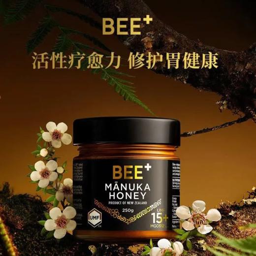 BEE+麦卢卡蜂蜜UMF15+ 250克罐（新包装） 商品图0