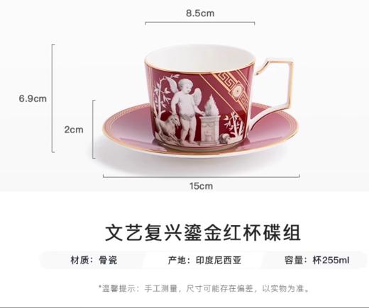 WEDGWOOD威基伍德文艺复兴骨瓷杯碟组咖啡杯威基伍德文艺复兴骨瓷咖啡杯碟套装(蓝+红) 商品图5