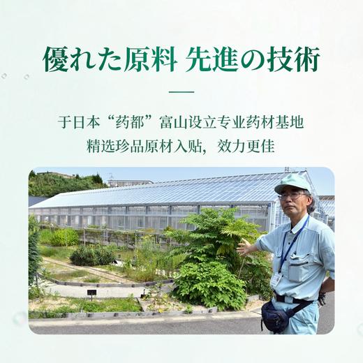 日本进口 高井製薬甲贴  植物植萃强韧指甲 商品图1