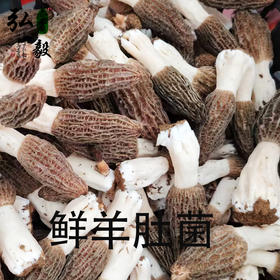 【弘毅六不用生态农场】六不用 羊肚菌
