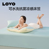 LOVO乐蜗 VZT0116 夏日冰果 床笠两/三件套 商品缩略图0