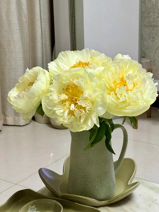 【预售！4.20起陆续发出】柠檬雪纺【人间四月天，芍药铺庭前】简小姐精选柠檬黄色新品 柠檬雪纺 2件包邮 顺丰空运 商品图6