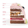新品-青山粉黛半糖蛋糕 商品缩略图5