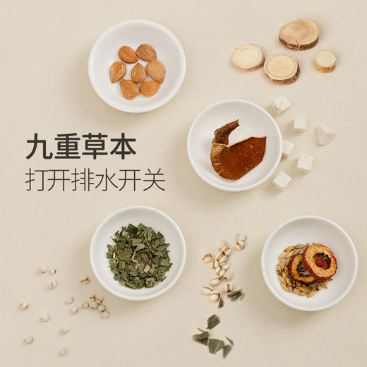 「九清饮」草本配方 抚平湿痒疙瘩 清内湿 清甜本草味 一泡即喝 商品图2