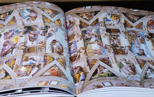 文艺复兴时期绘画及雕塑大师：《达.芬奇》+《米开朗基罗》，8开，平装，海平+方重著，河北美术出版社2008年一版一印，245+247页，单册定价160，售价60元，品相9-95成。 商品图12