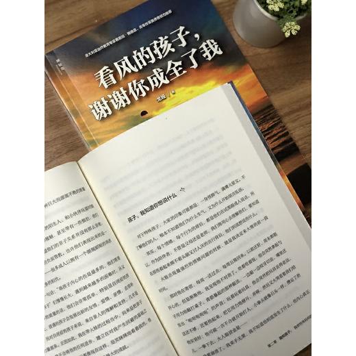 【独秀书香卡】神秘岛·看风的孩子，谢谢你成全了我 6~14岁及以上 儿童教育 商品图4